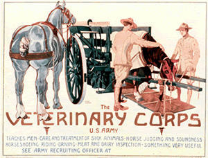 Recruiting Poster